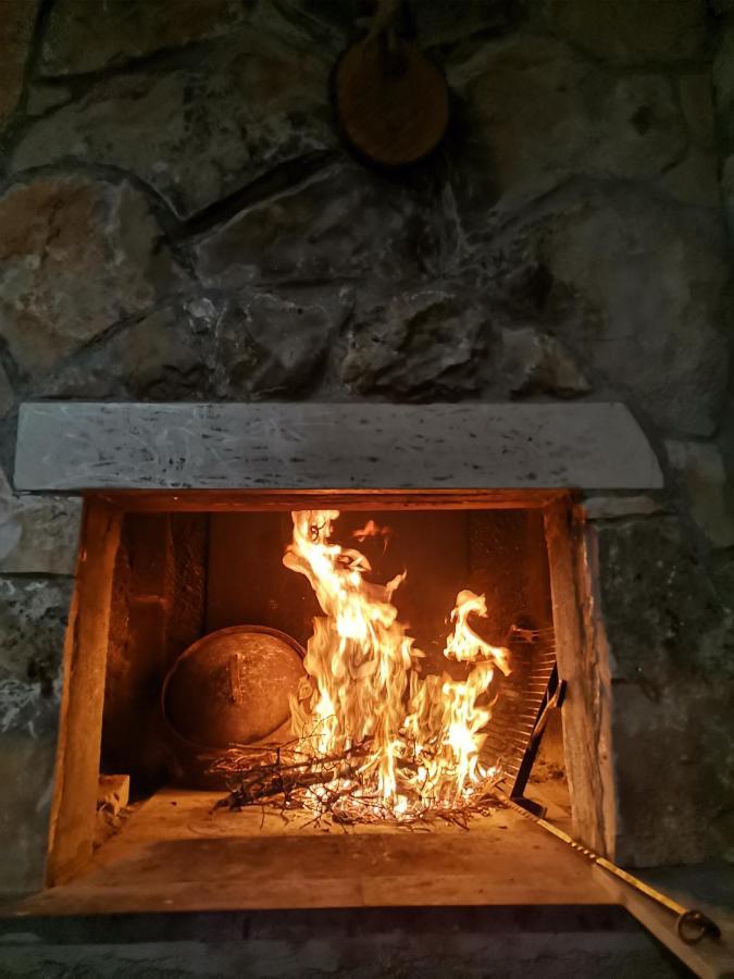 Frane Knezevici